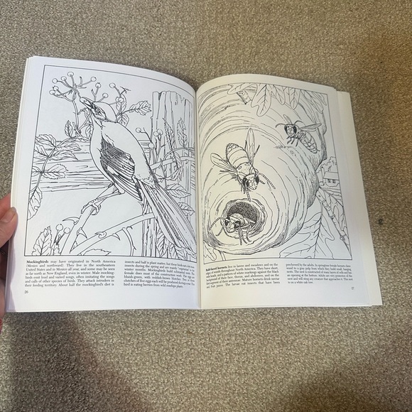 Dover Coloring Books - Picture 4 of 13